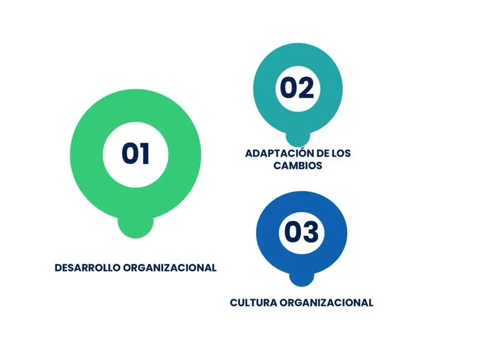Desarrollo Organizacional